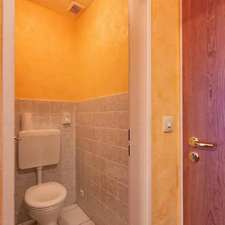 Hotel-restaurant Weinhaus Grebel 3* קובלנץ
