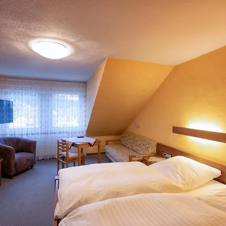 Hotel-restaurant Weinhaus Grebel Otel 3*