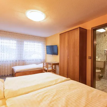 Hotel-restaurant Weinhaus Grebel Otel