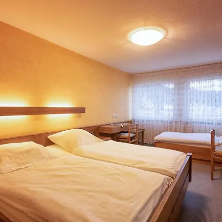 Otel Hotel-restaurant Weinhaus Grebel 3*