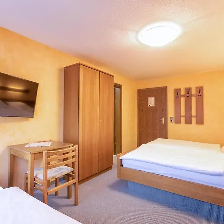 Hotel-restaurant Weinhaus Grebel Otel 3*