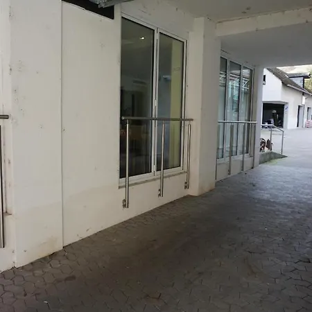 Hotel-restaurant Weinhaus Grebel 3* קובלנץ