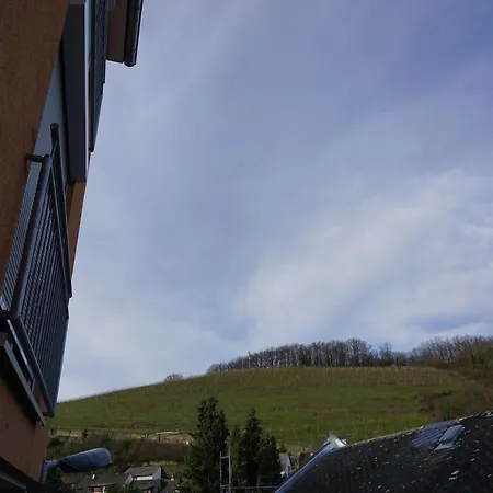 Hotel-restaurant Weinhaus Grebel Otel