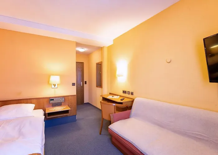 Hotel Hotel-restaurant Weinhaus Grebel 3*