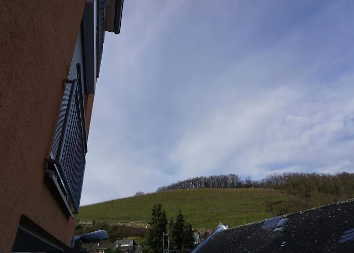 Hotel-restaurant Weinhaus Grebel Hotel Koblenz (Rhineland-Palatinate)