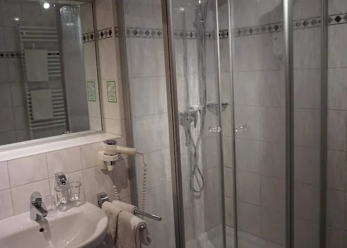 Hotel Hotel-restaurant Weinhaus Grebel 3*